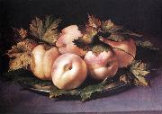 FIGINO, Giovanni Ambrogio Still-life with Peaches and Fig-leaves fdg